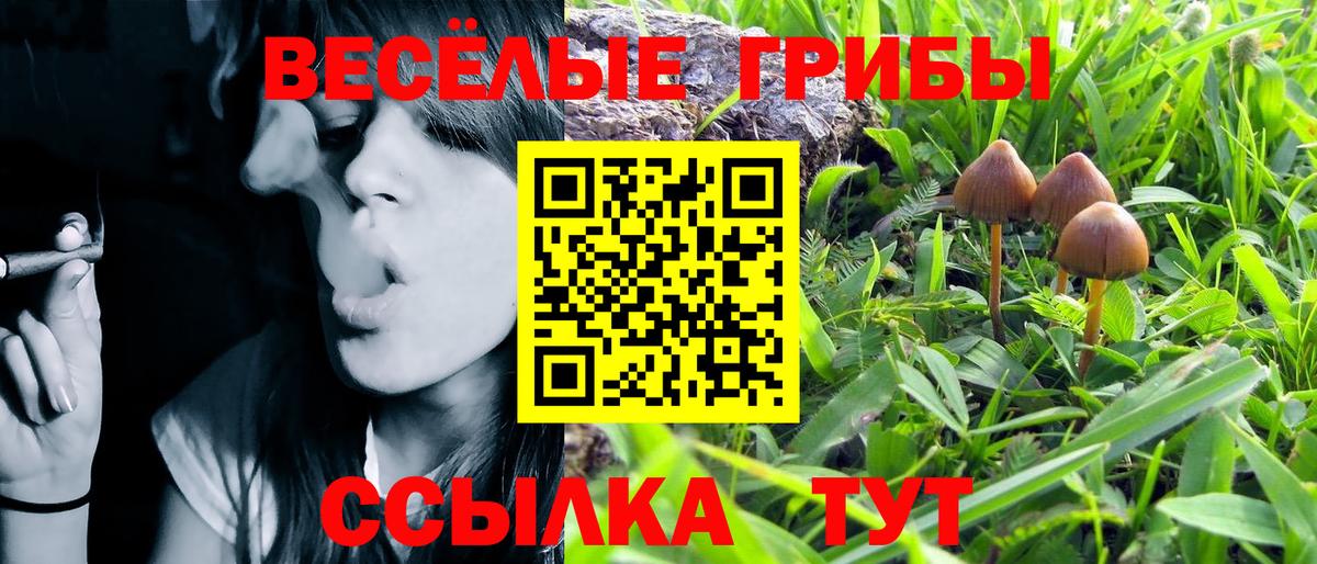 Галлюциногенные грибы мухоморы Саяногорск